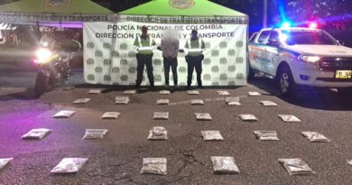 <strong>Dos hermanos fueron detenidos por pretender ingresar a Villavicencio más de 15 kilos de marihuana creepy<strong>