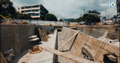 Nuevo puente del Villa Julia estará listo en junio