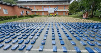 Más de tres toneladas de marihuana interceptadas este mes en la vía a Vichada