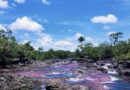 El 29 de mayo abre la temporada turística en Caño Cristales