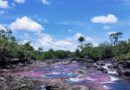 Caño Cristales genera 650 empleos directos en La Macarena. Abre este viernes