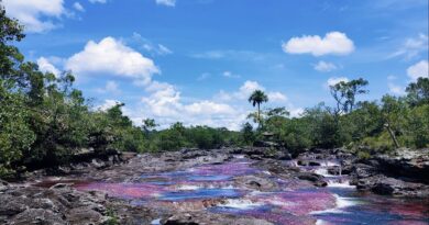 Caño Cristales genera 650 empleos directos en La Macarena. Abre este viernes