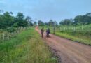 48 muertos por combates entre bandos rivales de las disidencias de las Farc en Guaviare