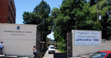 La Universidad Nacional aclaró la situación de los caimanes en la estación Roberto Franco