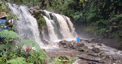 Villavicencio será sede este año del principal encuentro internacional de turismo de naturaleza