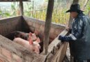Restitución en San Juanito: cuando el Estado acierta con su política social