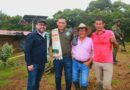 Llega la electricidad a 38 veredas de Uribe-Meta