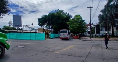 Suspenden la sustitución de árboles en la avenida 35, bajando de Bomberos