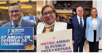 ¿En qué comisiones se ubicaron los tres representantes del Meta?