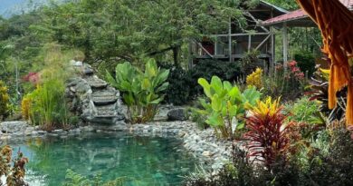 Una finca de Lejanías (Meta) es finalista en concurso del Canal Caracol