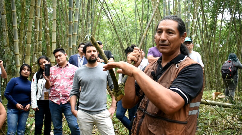 Este viernes en Villavicencio: encuentro nacional de la cadena guadua/bambú